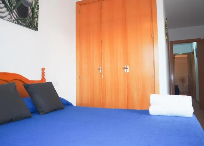 Conilplus Castilnovo *