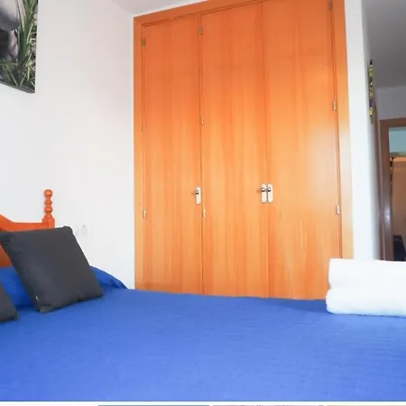 Conilplus Castilnovo *