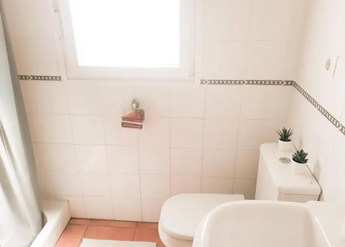 Conilplus Castilnovo *