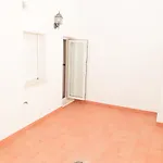 Conilplus Castilnovo